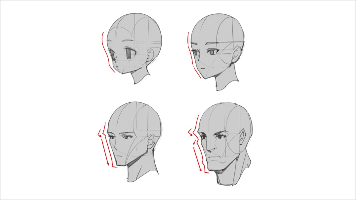 curriculum-illustrator-hex-3-1.webp