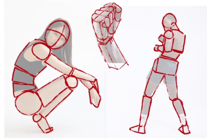 Illustrator , Ryokken point