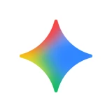 program-3-Gemini.webp