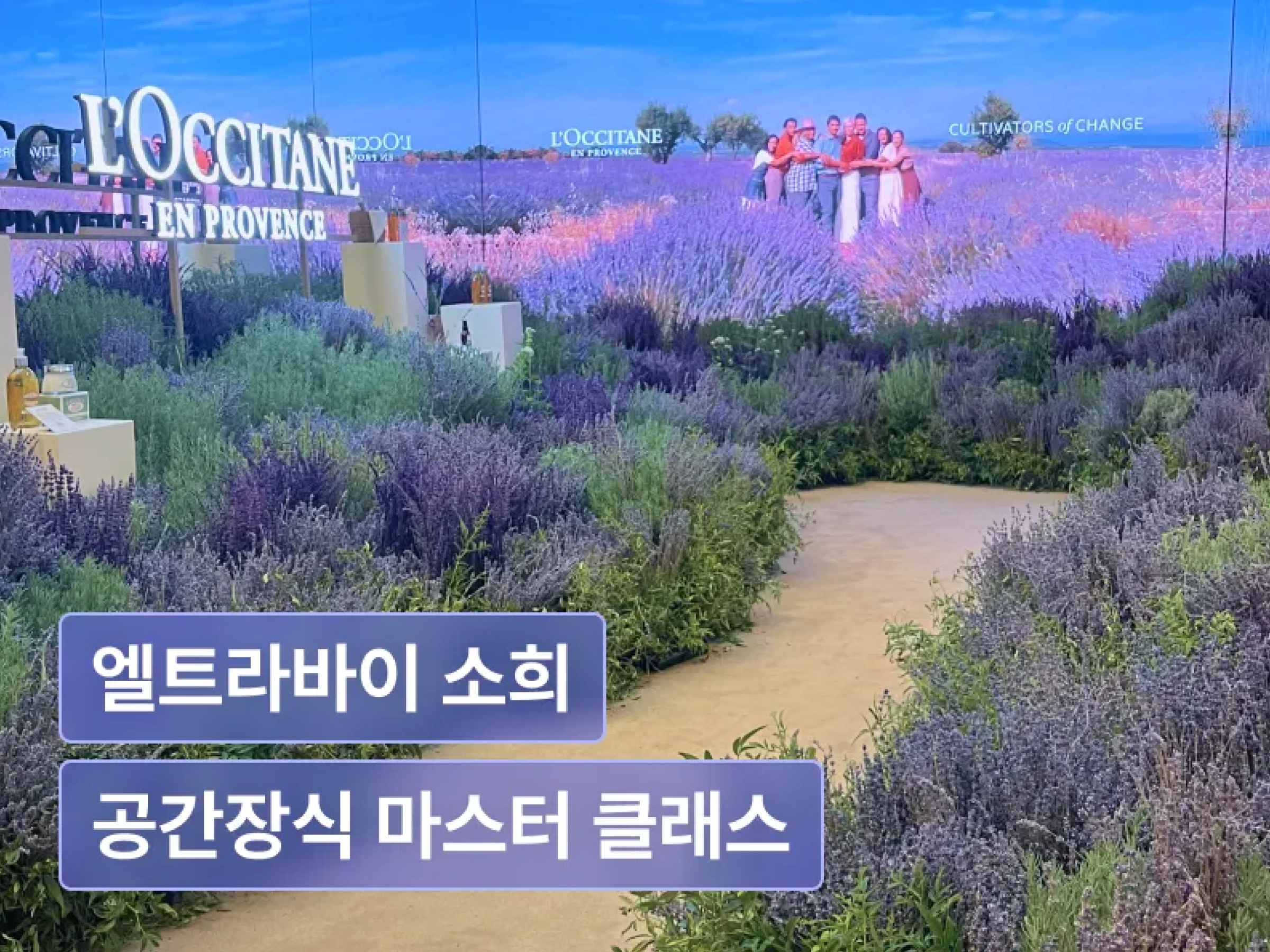 강의 대표이미지