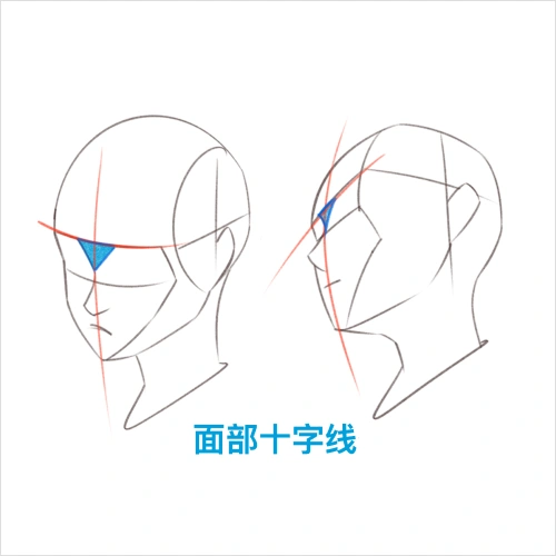 Illustrator, hzzz Exercise