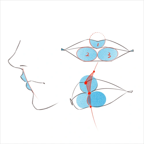 Illustrator, hzzz Exercise