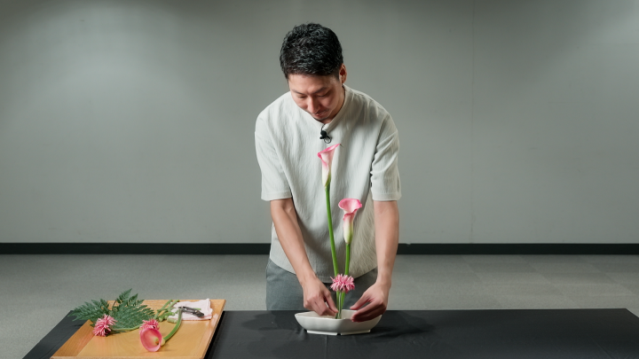 curriculum-ikebanaohararyu-oharashirato-jp-04-1.webp