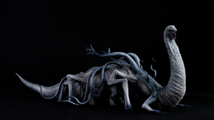 curriculum-figurephotographer-sachihira-jp-5-2.webp