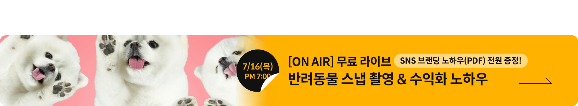무료라이브 최태현 배너