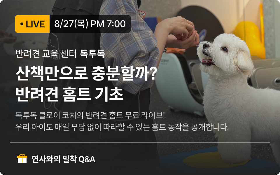 무료라이브 배너