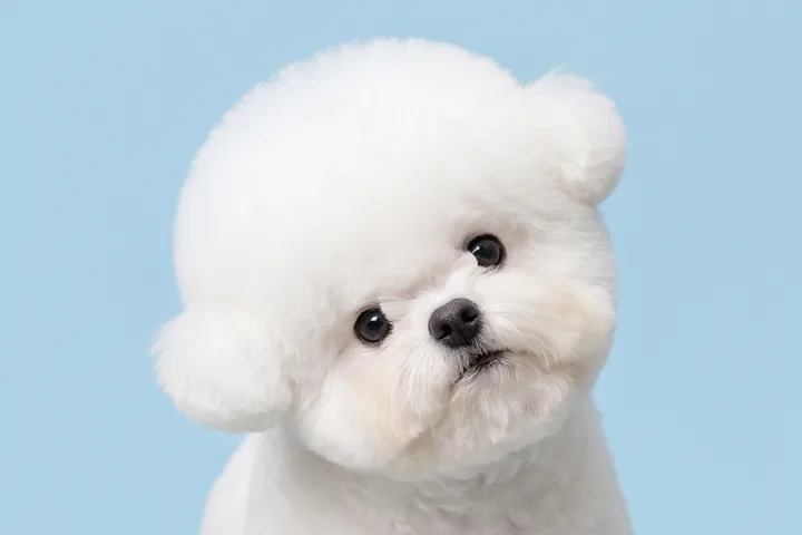 트리밍매직 대표원장, 장세나 강의소개