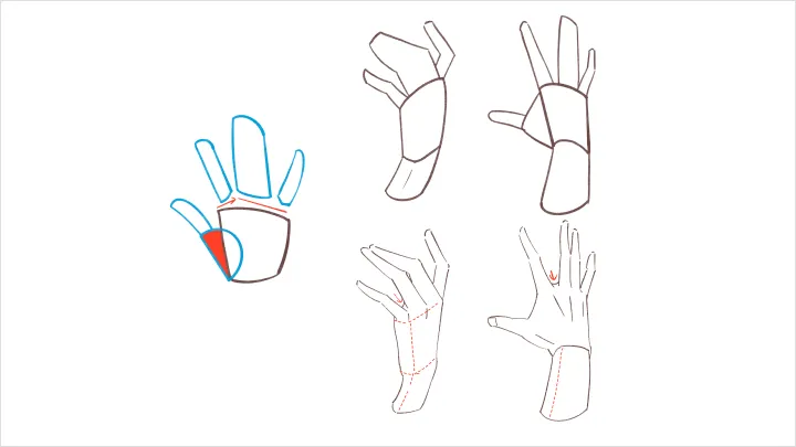 curriculum-illustrator-hzzz-zh-03-4.webp