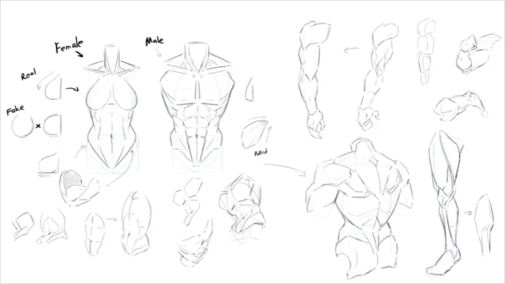 curriculum-illustrator-craizuss-us-section03-03.webp