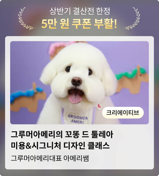 콜로소 상반기결산 코스카드