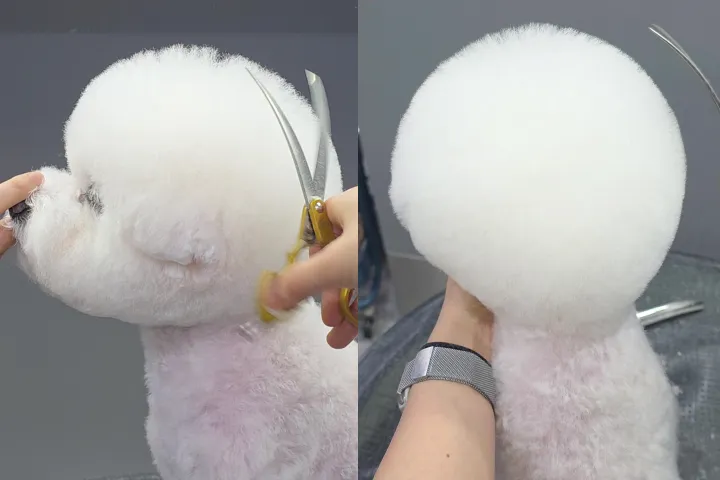 <p>더 산뜻하고 입체적인 인상을 완성하는 하이바 컷</p>