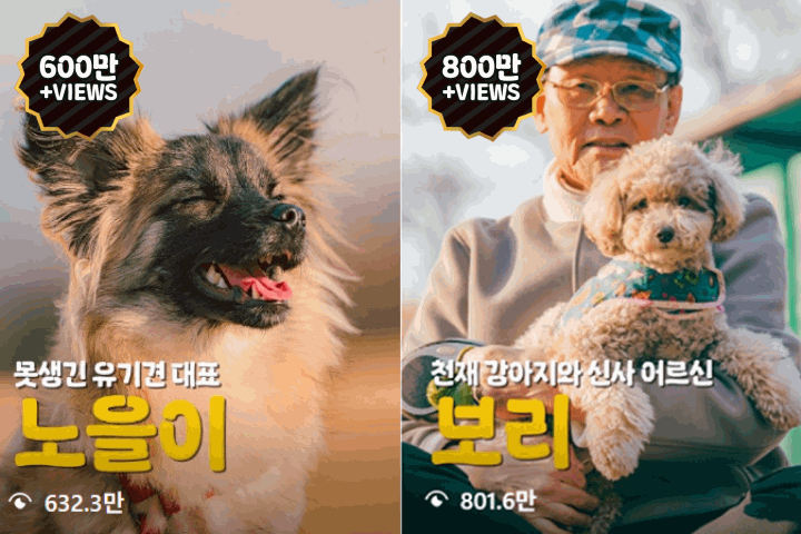 포토그래퍼, 최태현 강의소개