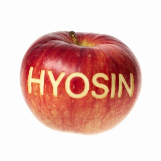 효신