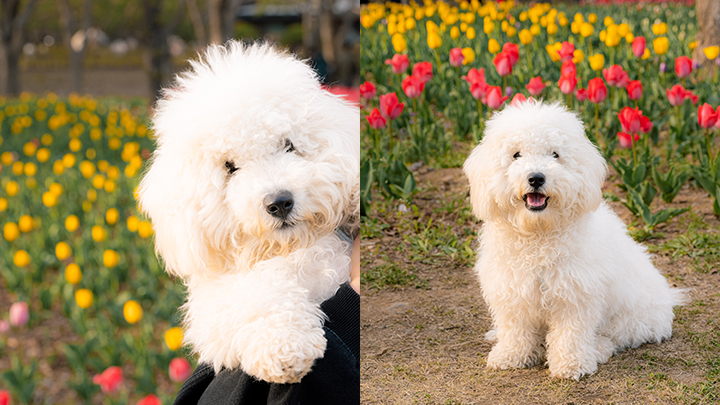 curriculum-photographer-choitaehyun-2.webp