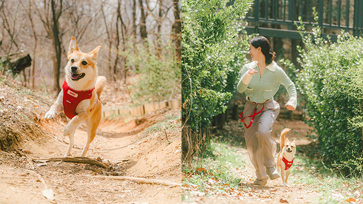 curriculum-photographer-choitaehyun-6.webp
