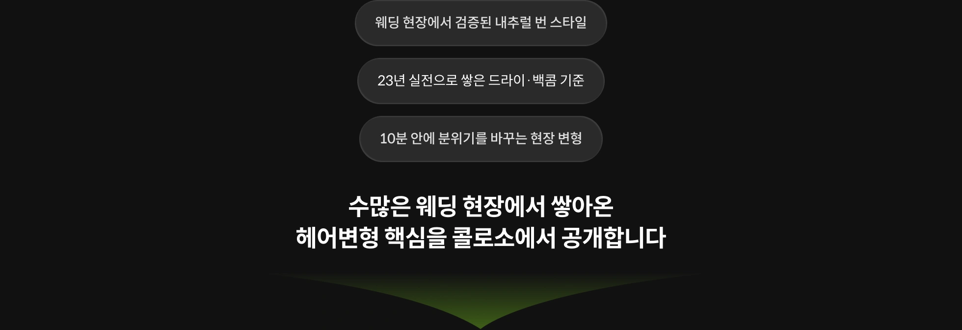 비비드제이 대표, 지선향