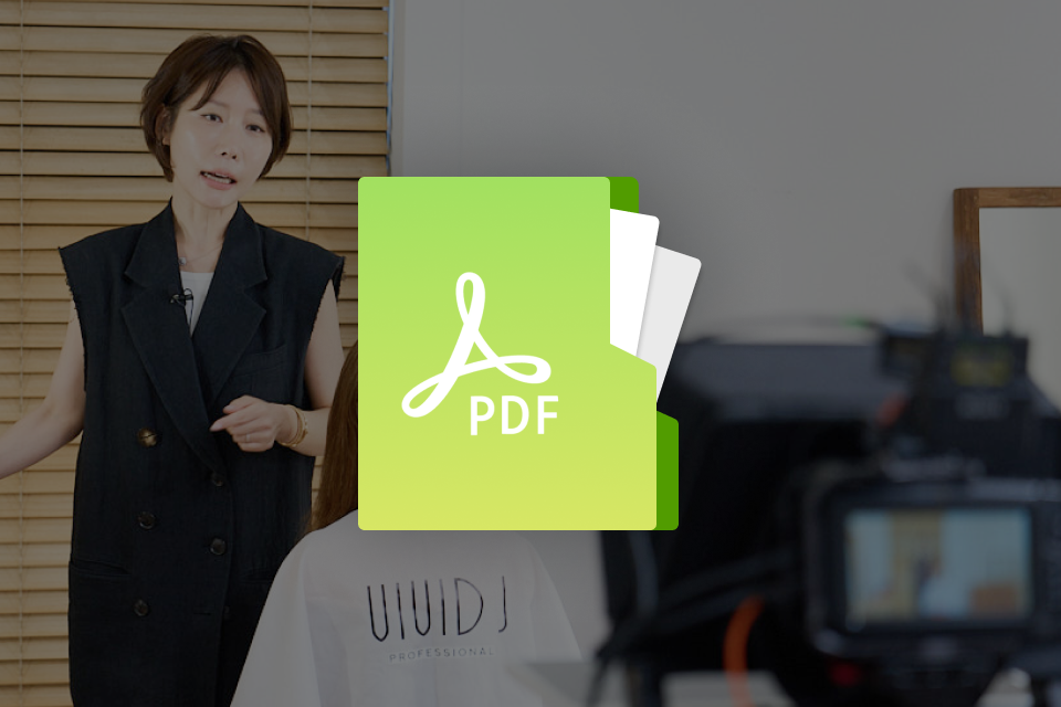 비비드제이 대표, 지선향 혜택