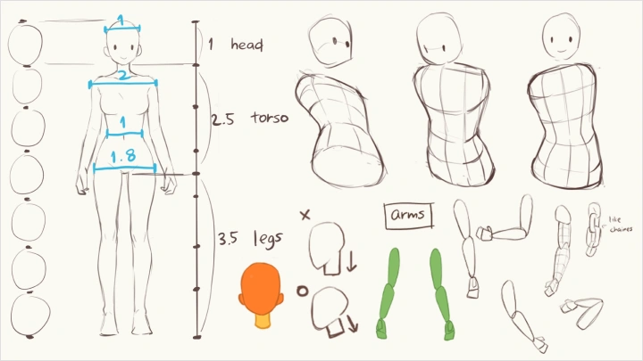 curriculum-illustrator-hidarimimi-us-section03-1.webp
