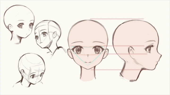 curriculum-illustrator-hidarimimi-us-section06-1.webp