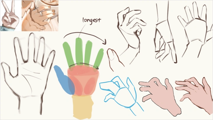 curriculum-illustrator-hidarimimi-us-section08-1.webp