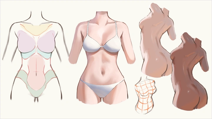 curriculum-illustrator-hidarimimi-us-section08-2.webp