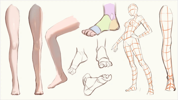 curriculum-illustrator-hidarimimi-us-section08-3.webp