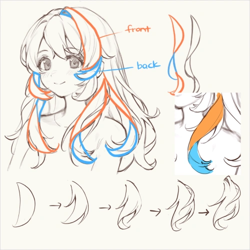 Illustrator, Hidari Mimi Exercise