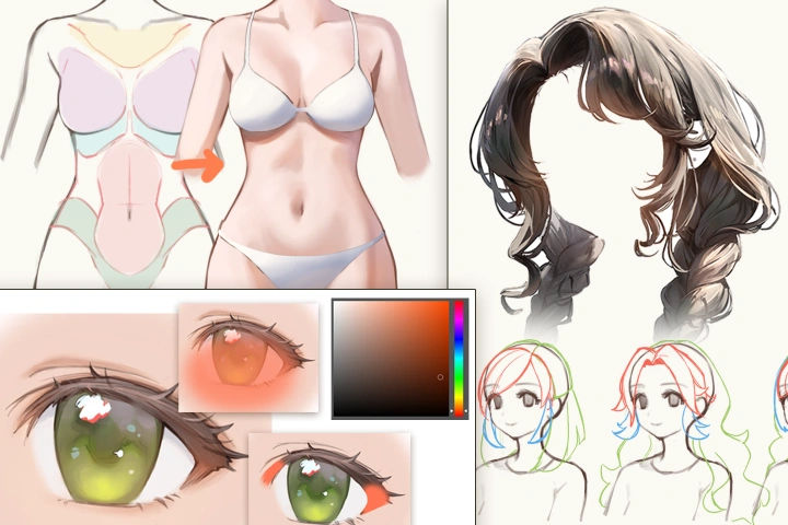 Illustrator, Hidari Mimi point