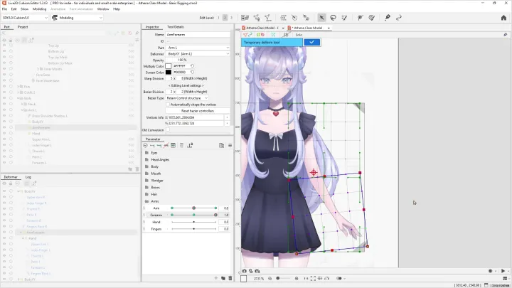 curriculum-live2dmodeler-catathenya-us-section03-1.webp