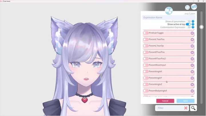 curriculum-live2dmodeler-catathenya-us-section07-2.webp