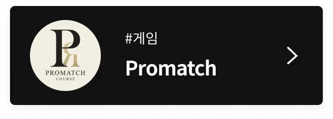 프로매치
