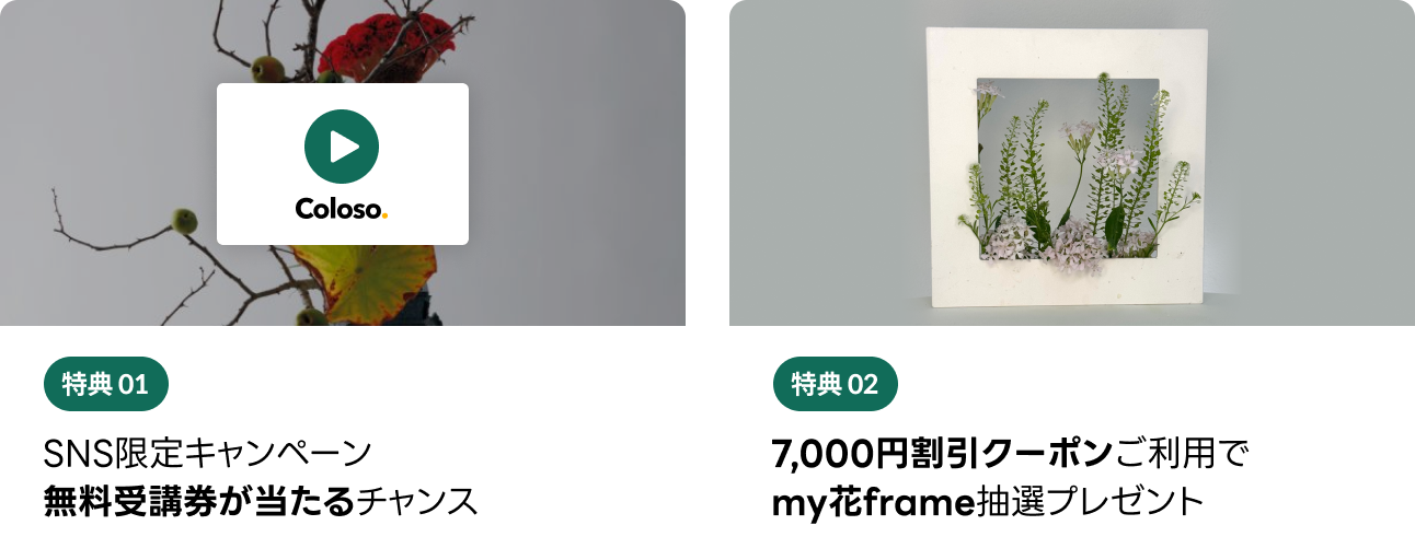ikebanaohararyucampaign