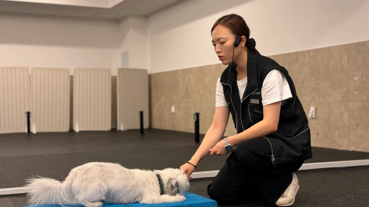 curriculum-dogtraining-dogtodog-section05-1.webp