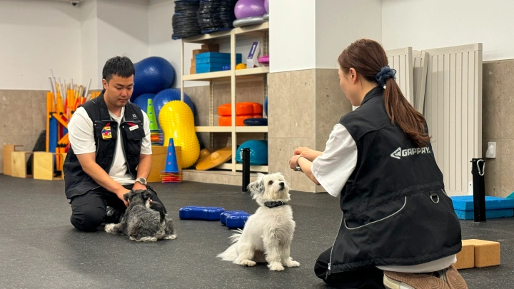 curriculum-dogtraining-dogtodog-section05-2.webp