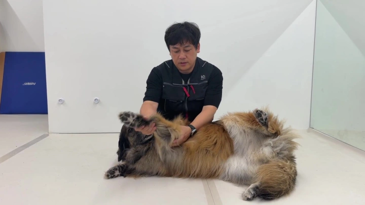 curriculum-dogtraining-dogtodog-section06-1.webp