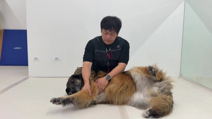curriculum-dogtraining-dogtodog-section06-2.webp