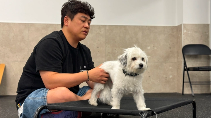 curriculum-dogtraining-dogtodog-section08-1.webp