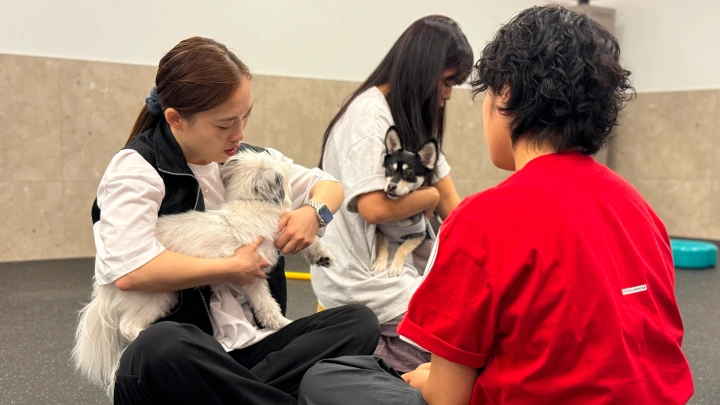 curriculum-dogtraining-dogtodog-section08-2.webp