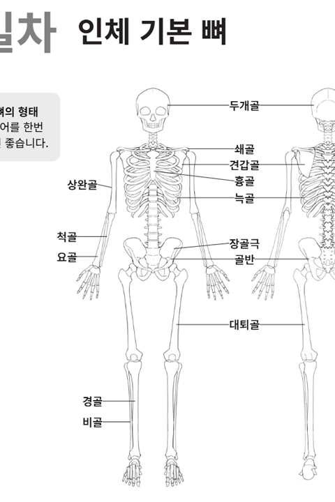 일러스트레이터, Nez39 강의예제