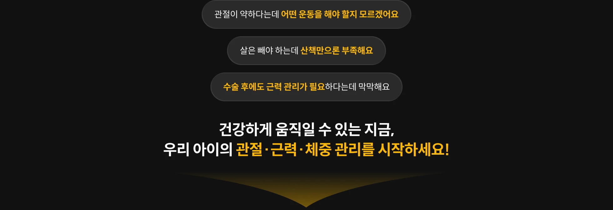 반려견 교육 센터, 독투독