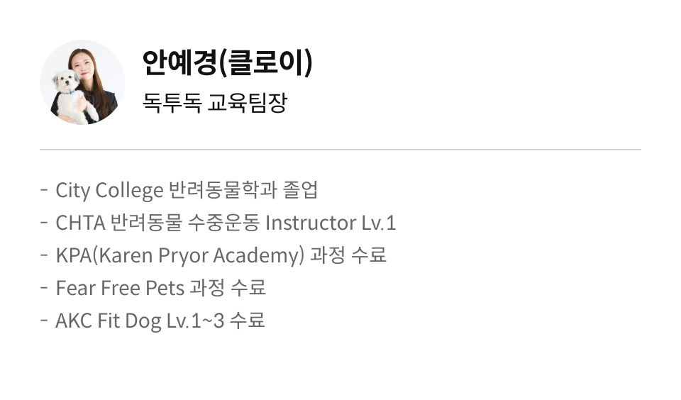 독투독 안예경