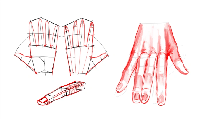 curriculum-illustrator-kingu-us-3-1.webp