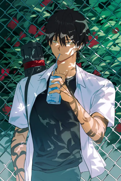 Illustrator, TiMy