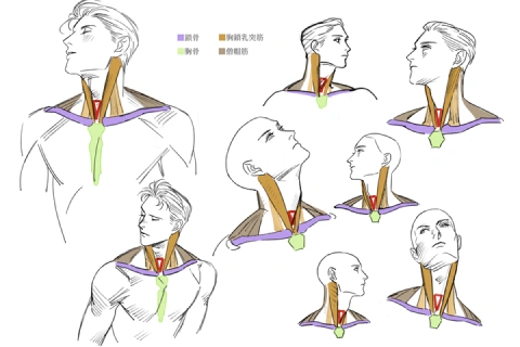 <p><strong>How to Draw Convincing Male Figures</strong></p>