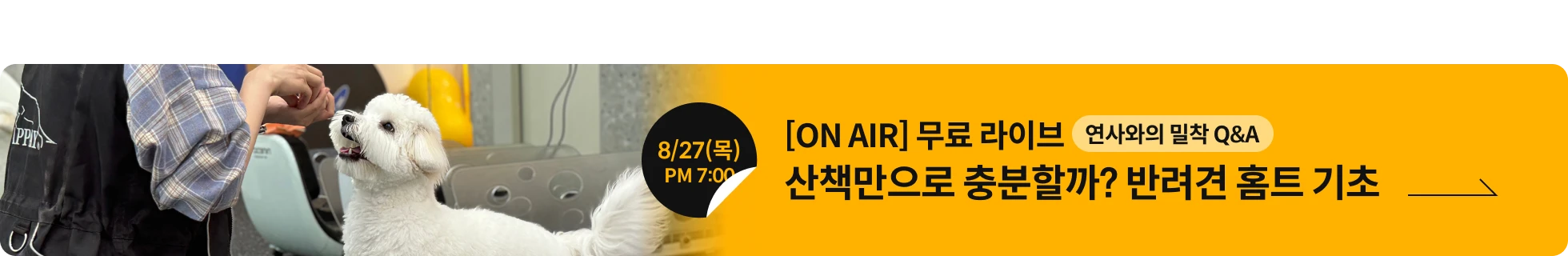 연사명 배너