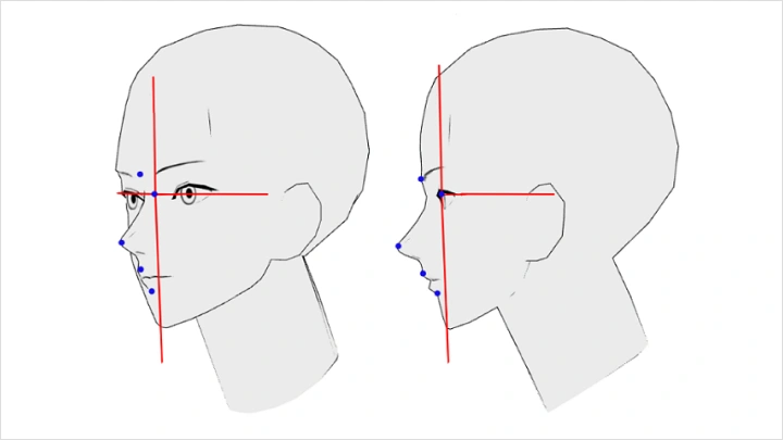curriculum-illustrator-Nez39-05.webp