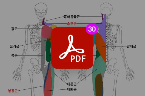 일러스트레이터, Nez39 혜택