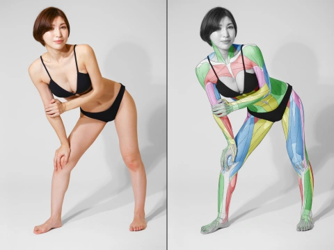 美術解剖学教員 加藤公太 ポートフォリオ