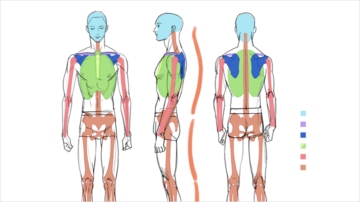 curriculum-illustrator-saiga-jp-03.webp
