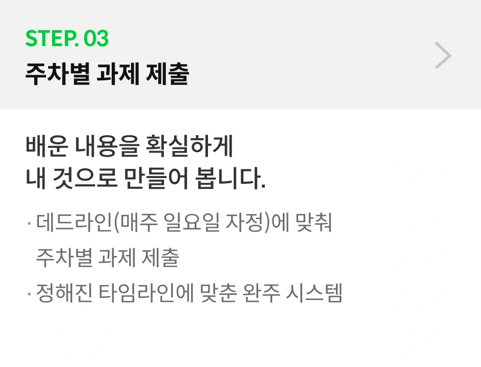 온라인캠프 로드맵
